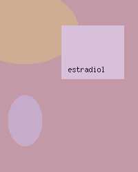 estradiol patch